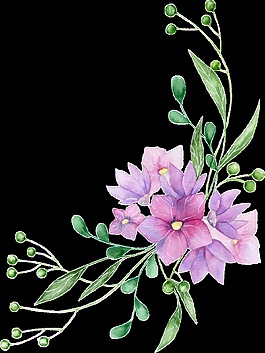 紫色花叶透明素材