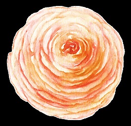 圆形盘旋花卉png透明素材