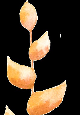 橙色树叶png透明素材