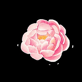 盛开粉色鲜花png透明素材