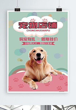 宠物美容院图片 宠物美容院素材 宠物美容院模板免费下载 六图网 宠物美容院图片 宠物美容院素材 宠物美容院模板免费下载 六图网