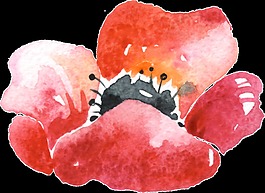 手绘木棉花png透明素材