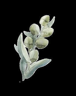 手绘水彩果实树叶png透明素材