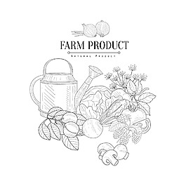 手绘园林蔬菜用品插画