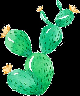 多肉仙人掌透明素材