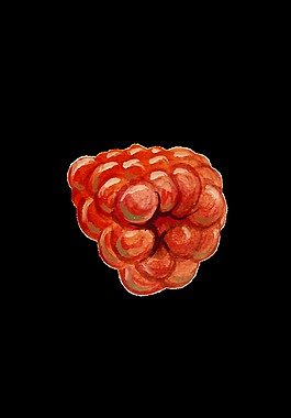 立体树莓透明素材