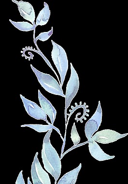 唯美树枝透明素材