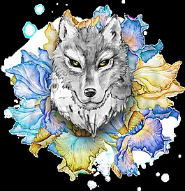 帅气狼透明素材