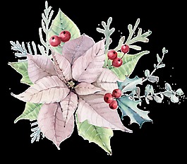 白兰花蕊透明素材