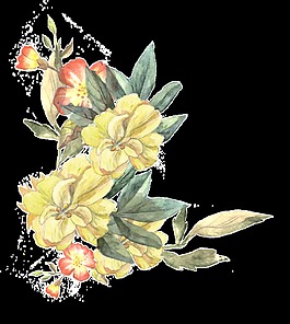 黄色优雅鲜花透明素材