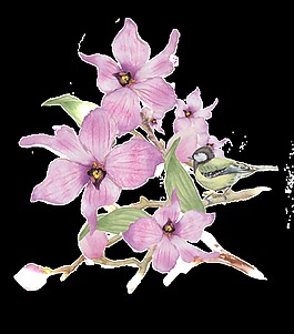 紫色优雅花卉透明素材