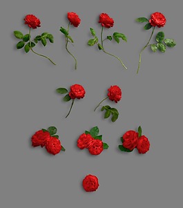 姿态各异红色玫瑰花psd源文件