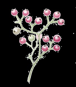 紫色浆果可爱卡通透明素材