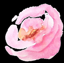 水彩淡粉色鲜花卡通透明素材