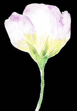 紫色鲜花清新卡通透明素材