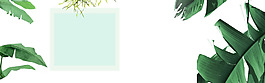 清新绿色树叶banner背景素材