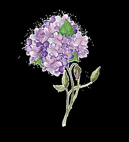紫色优雅花卉卡通透明素材
