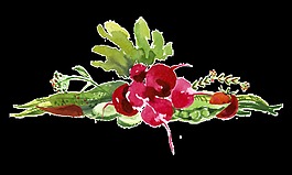 手绘新鲜萝卜png透明素材