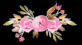 鲜花卡通透明素材