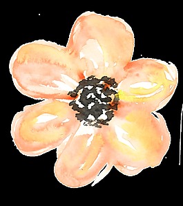 黄彩花蕊卡通透明素材
