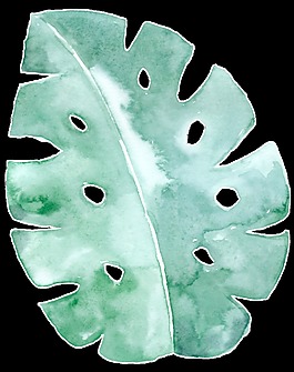 水彩手绘龟背竹叶子png透明素材