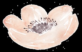 鲜嫩花瓣卡通透明素材