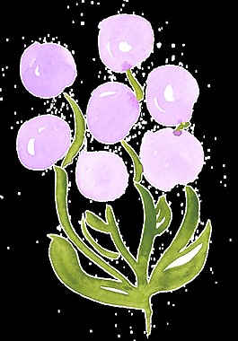 紫色花球卡通透明素材