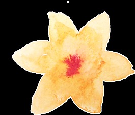 桃黄花瓣卡通透明素材