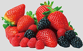 草莓覆盆子黑莓免抠psd透明素材