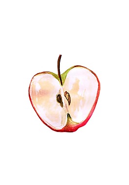 手绘半个苹果切面psd源文件