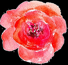 鲜艳花朵卡通透明素材