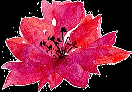 抽象花卉透明素材