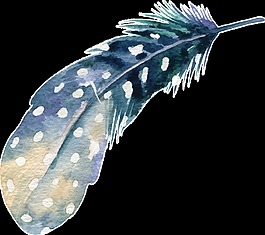 精美羽毛卡通水彩透明素材