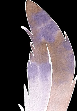 羽毛卡通水彩透明素材