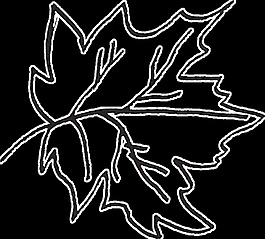 黑墨枫叶卡通水彩透明素材