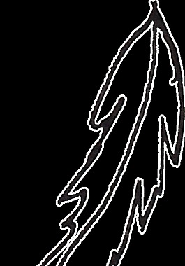 黑色树木树叶透明素材