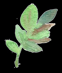 迷彩枝叶卡通水彩透明素材