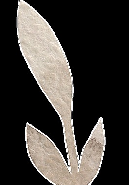 棕黄纹路花卡通水彩透明素材