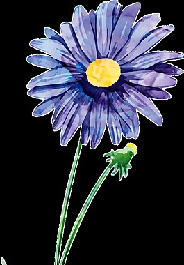 常见紫色太阳花卡通水彩透明素材