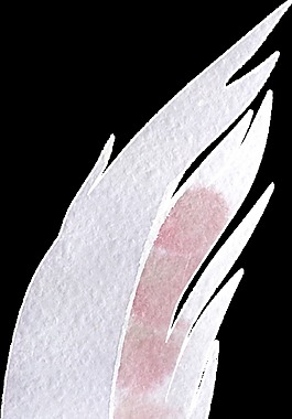 皎月羽翼卡通水彩透明素材