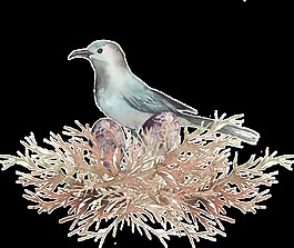 鸟窝卡通透明素材