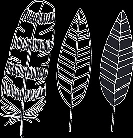 三款手绘羽毛卡通透明素材