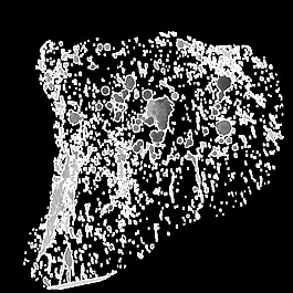 点缀水彩卡通透明素材