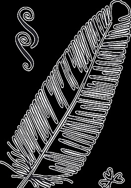 手绘羽毛卡通透明素材