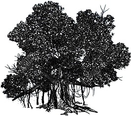 抽象黑色大树元素