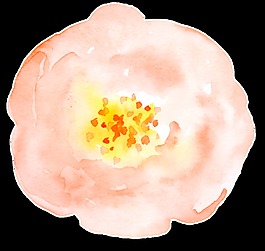 婚礼粉嫩花卉卡通透明素材