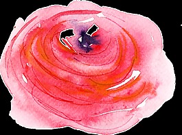 婚礼唯美花卉卡通透明素材