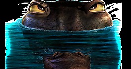 青蛙眼睛透明素材