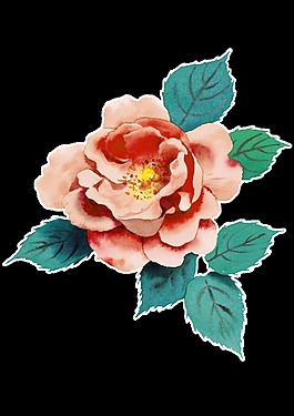 粉色茶花透明素材