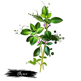 手绘水彩植物花朵绿叶psd源文件